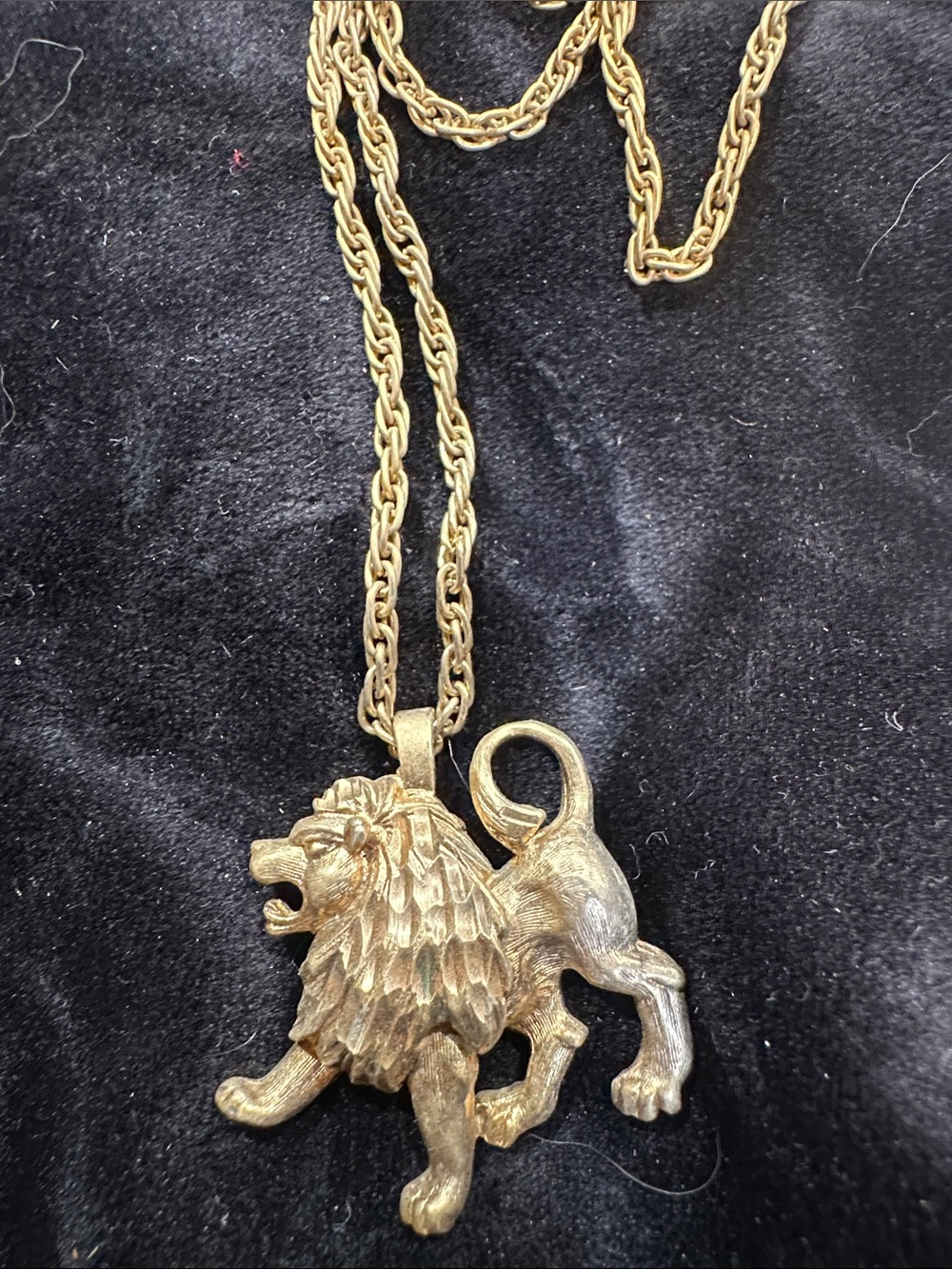 Gold Lion Pendant Necklace - Home Accents